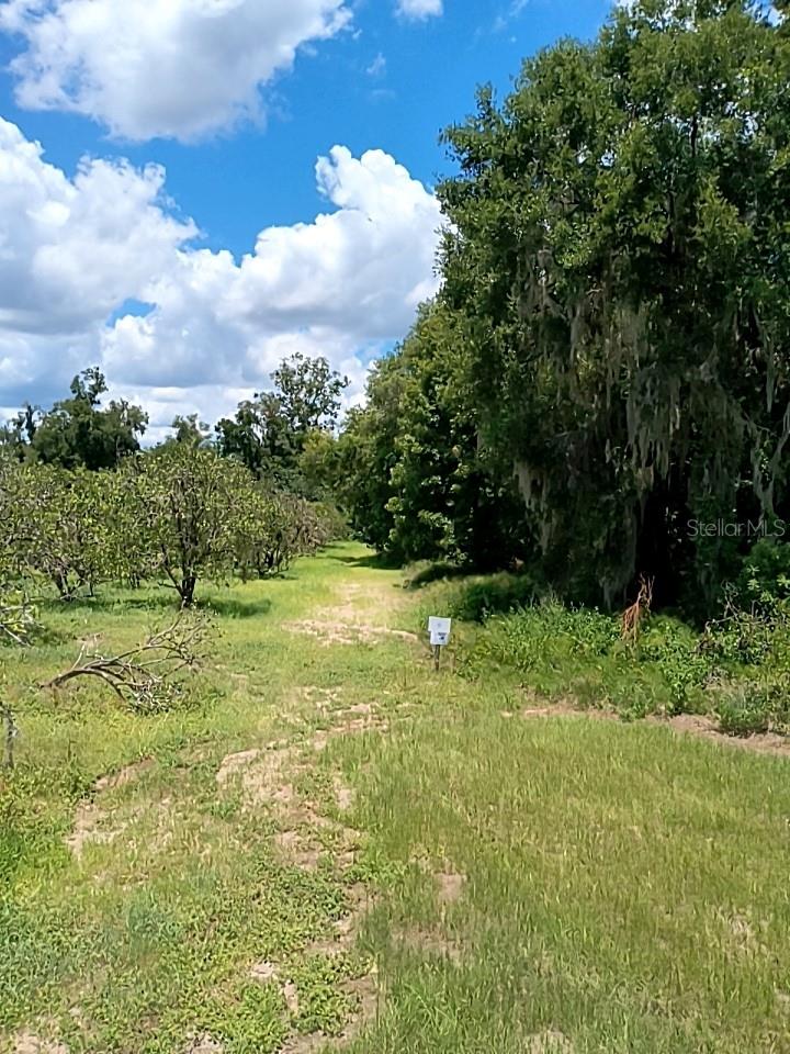 NO STREET, DE LEON SPRINGS, FL, 32130