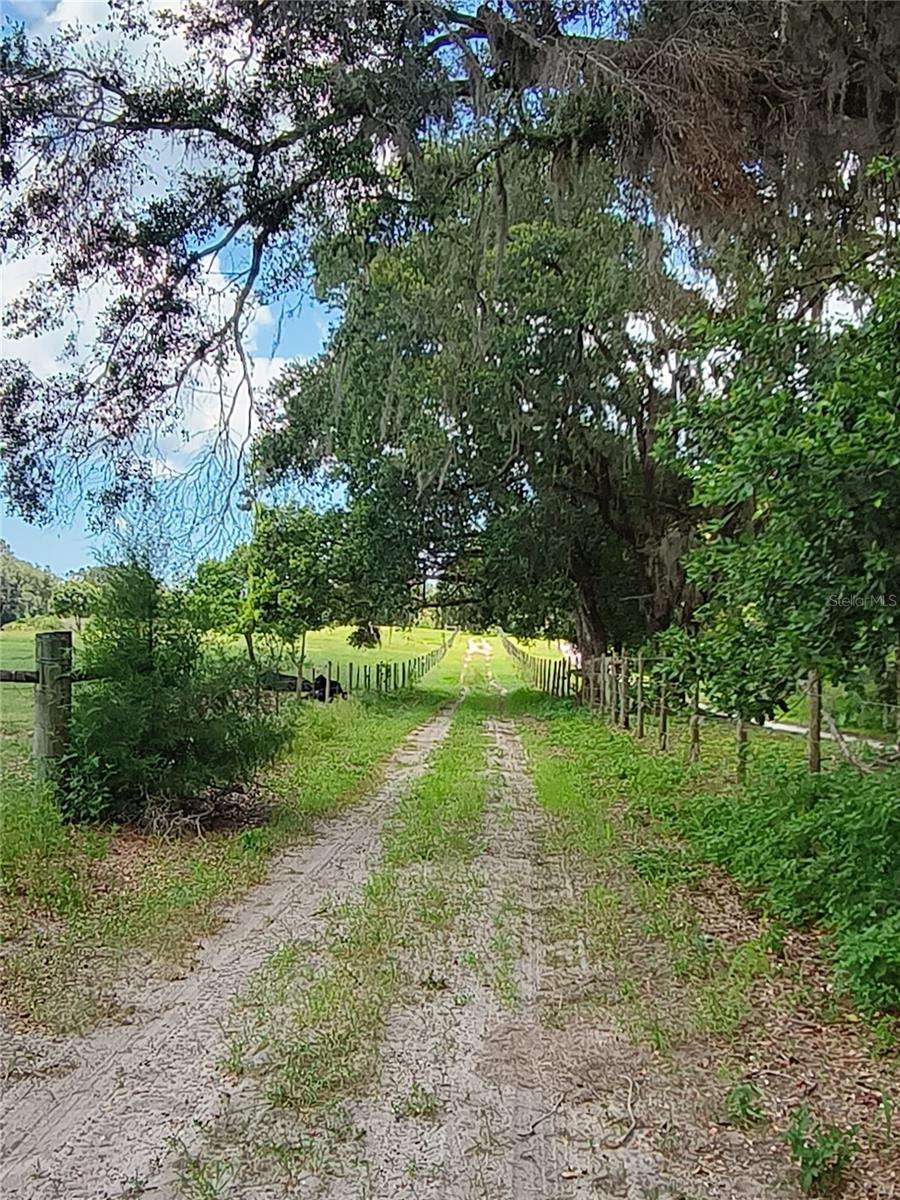 NO STREET, DE LEON SPRINGS, FL, 32130