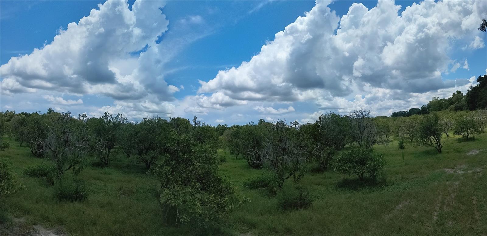 NO STREET, DE LEON SPRINGS, FL, 32130