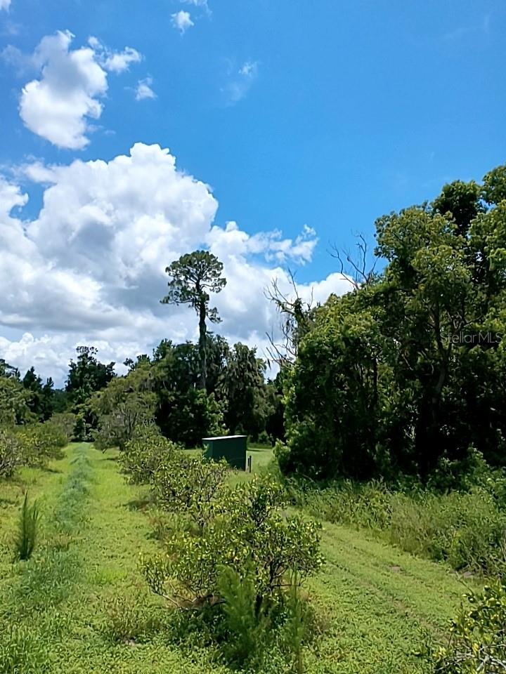 NO STREET, DE LEON SPRINGS, FL, 32130