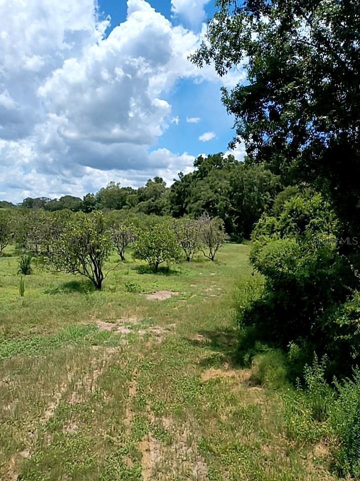 NO STREET, DE LEON SPRINGS, FL, 32130