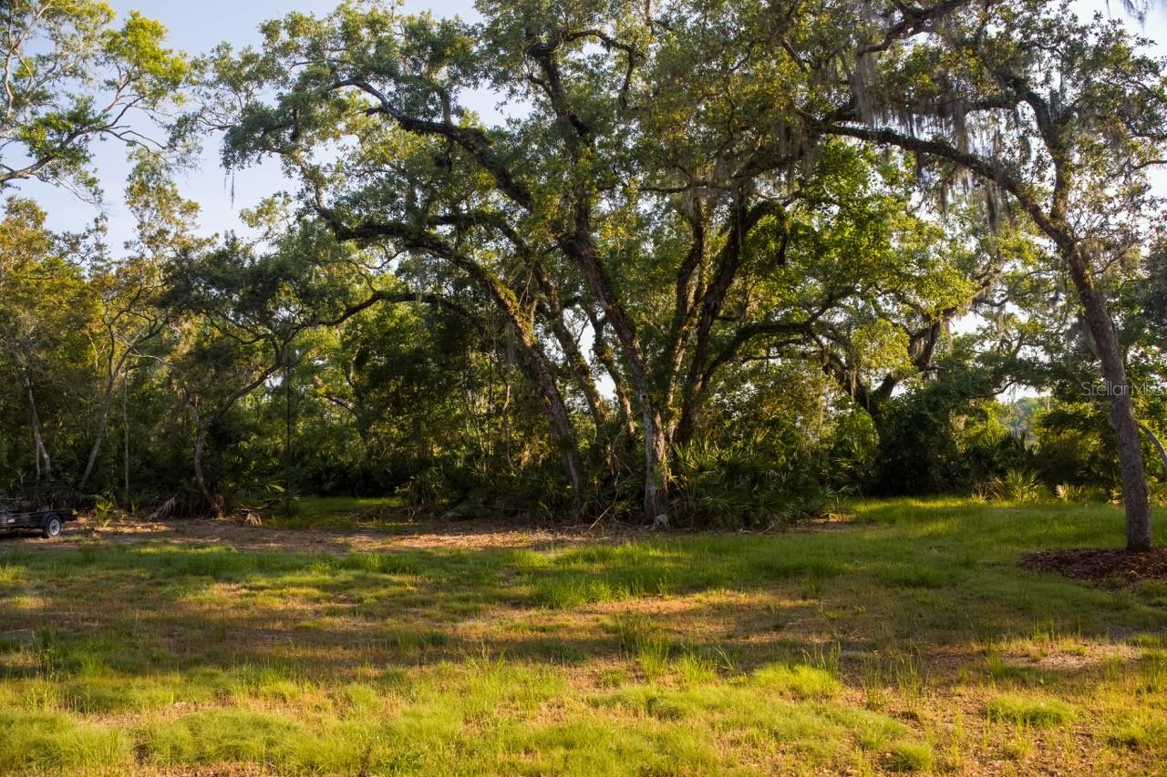 10 LEXINGTON CT, FLAGLER BEACH, FL, 32136