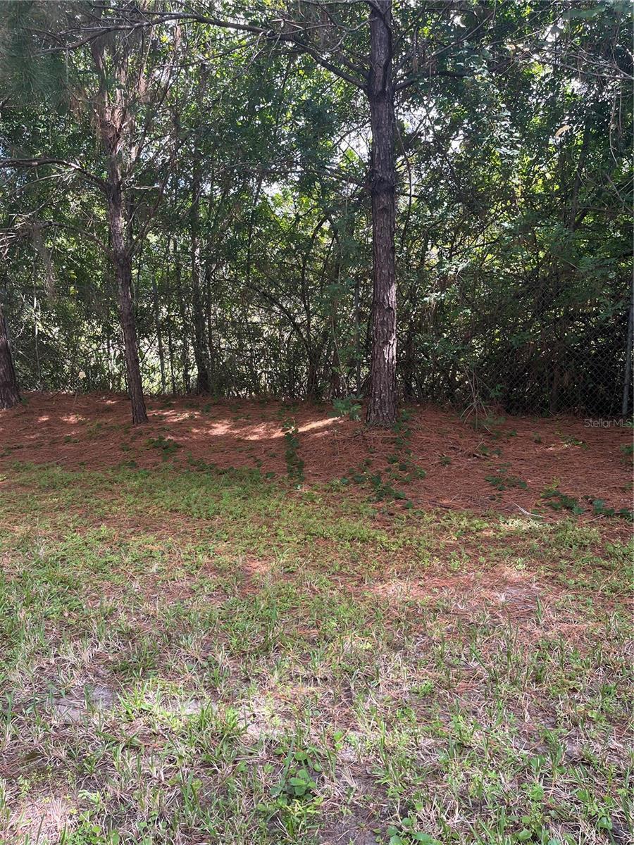 No backyard neighbors except trees and birds