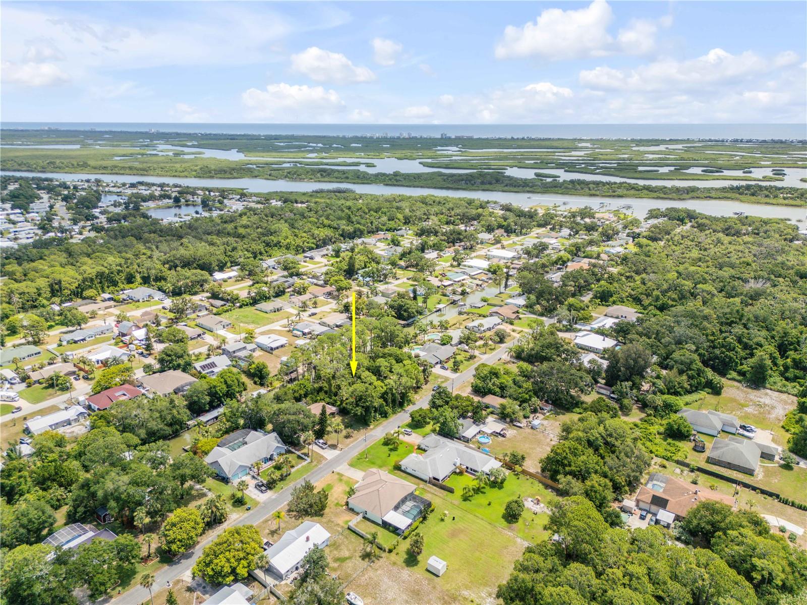133 HAZELWOOD RIVER RD, EDGEWATER, FL, 32141