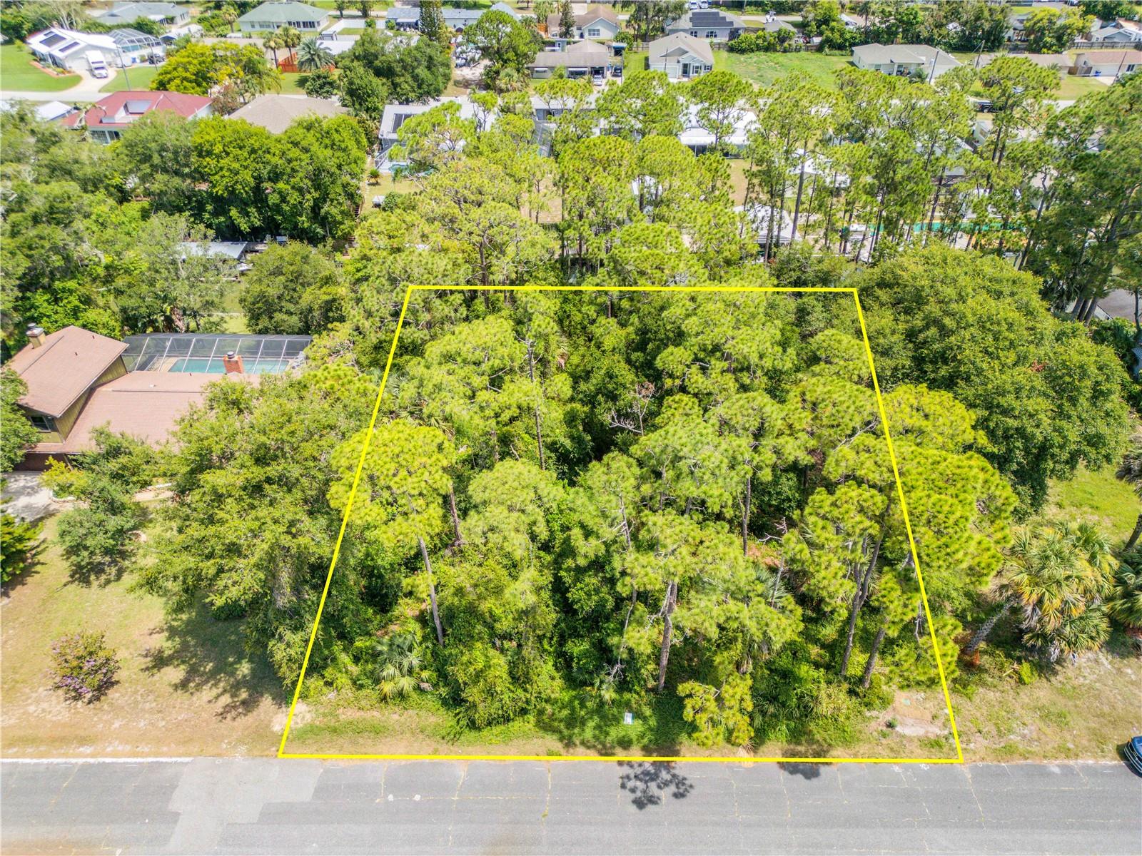 133 HAZELWOOD RIVER RD, EDGEWATER, FL, 32141