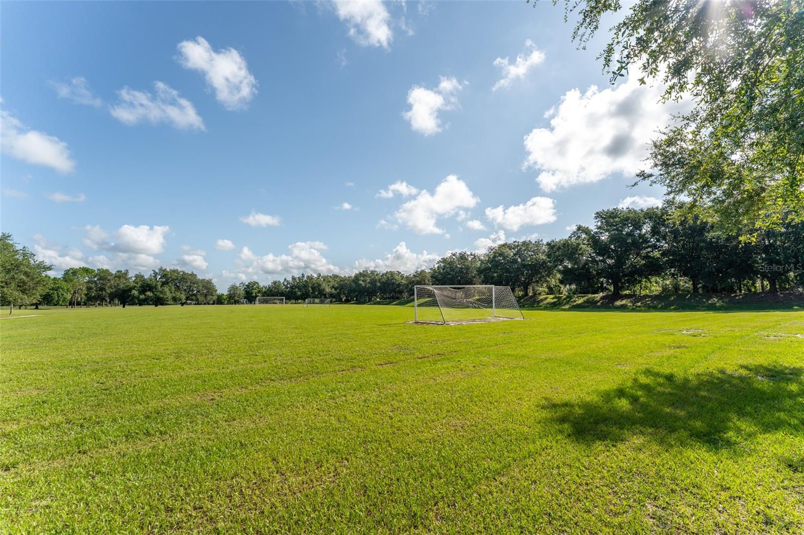 5927 FLATWOODS MANOR CIR, LITHIA, FL, 33547