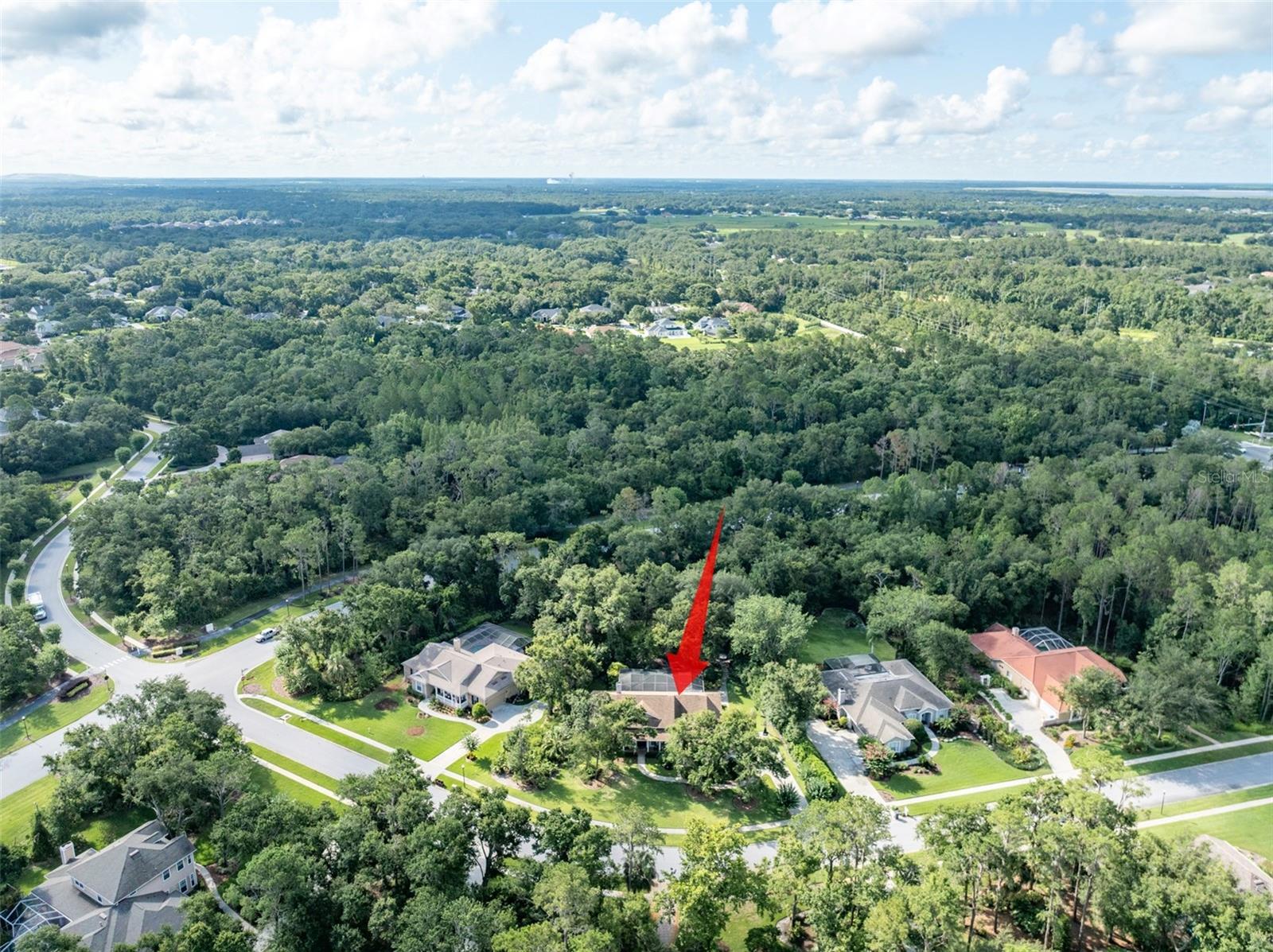 5927 FLATWOODS MANOR CIR, LITHIA, FL, 33547