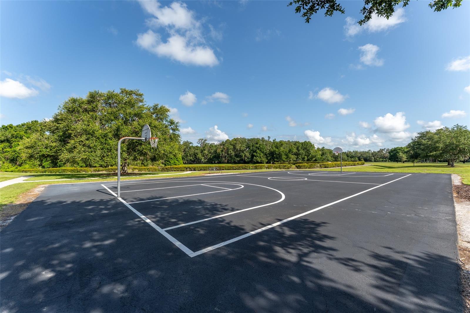 5927 FLATWOODS MANOR CIR, LITHIA, FL, 33547