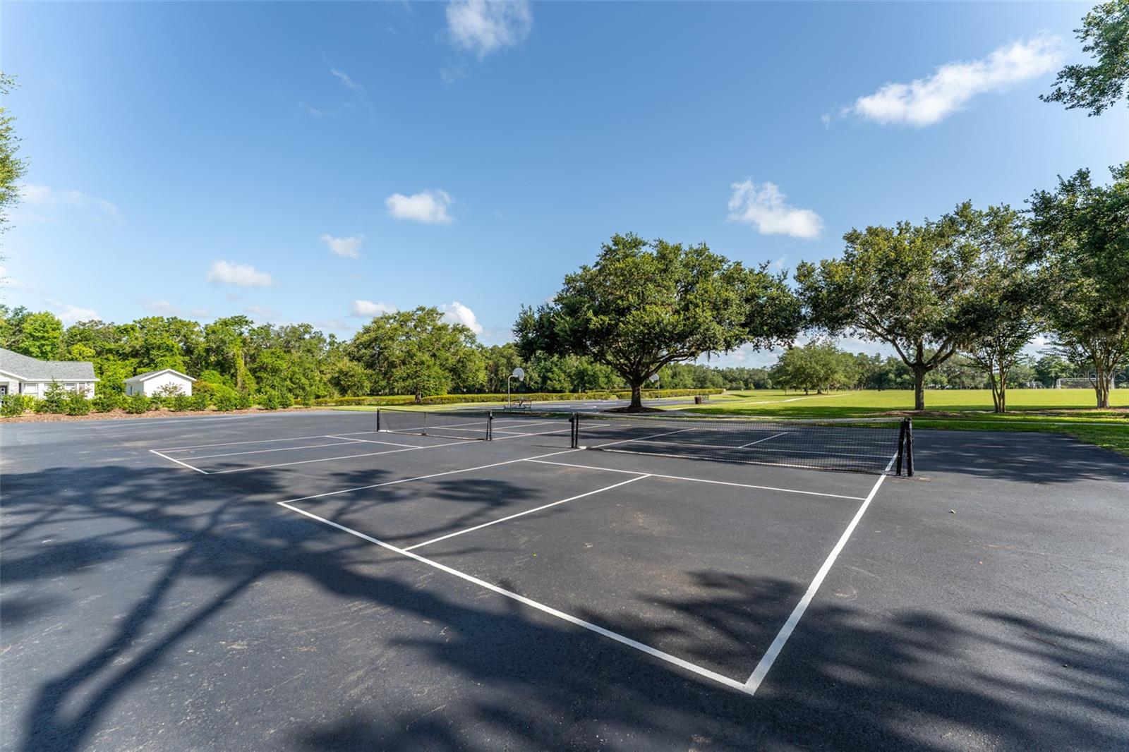 5927 FLATWOODS MANOR CIR, LITHIA, FL, 33547