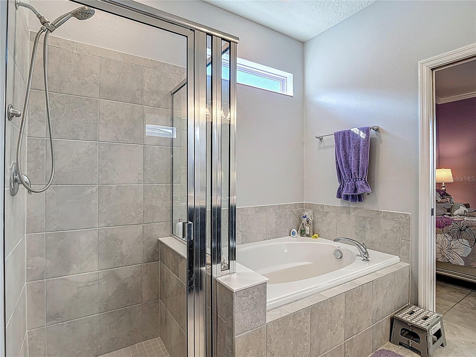 11703 BRIGHTON KNOLL LOOP, RIVERVIEW, FL, 33579