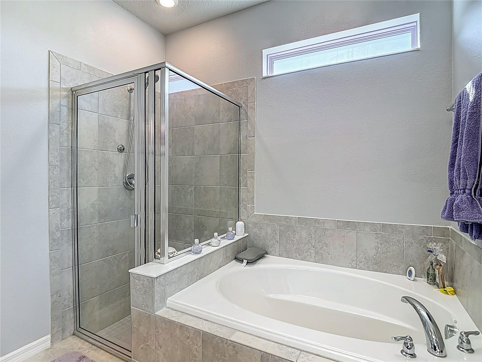 11703 BRIGHTON KNOLL LOOP, RIVERVIEW, FL, 33579