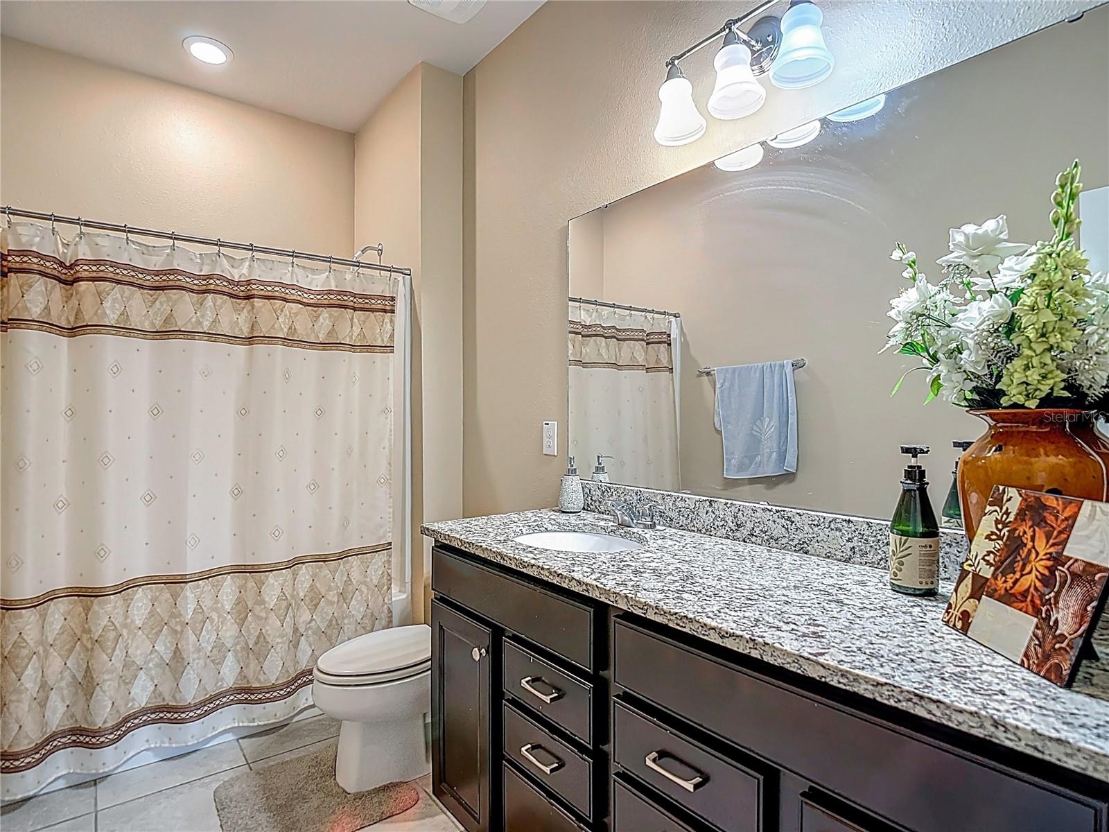 11703 BRIGHTON KNOLL LOOP, RIVERVIEW, FL, 33579