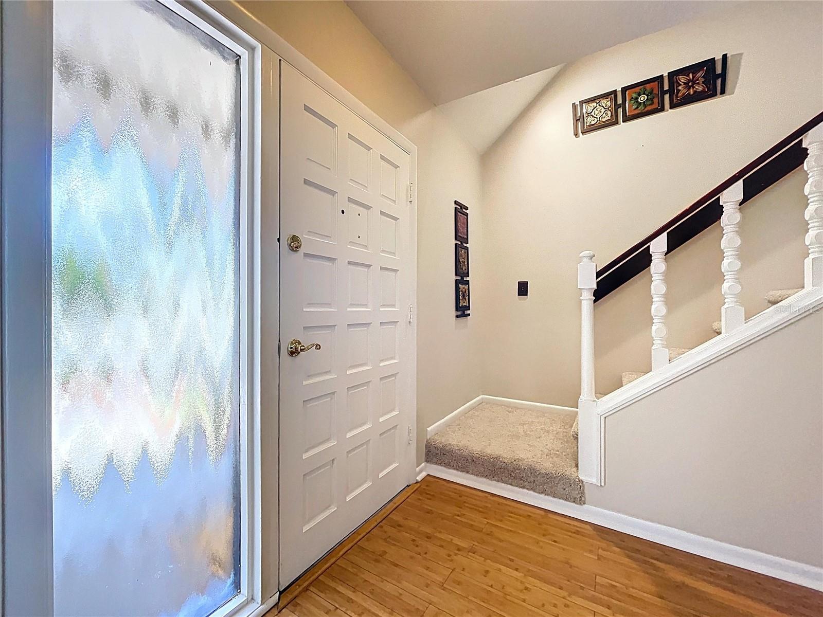 4030 BRAESGATE LN, TAMPA, FL, 33624