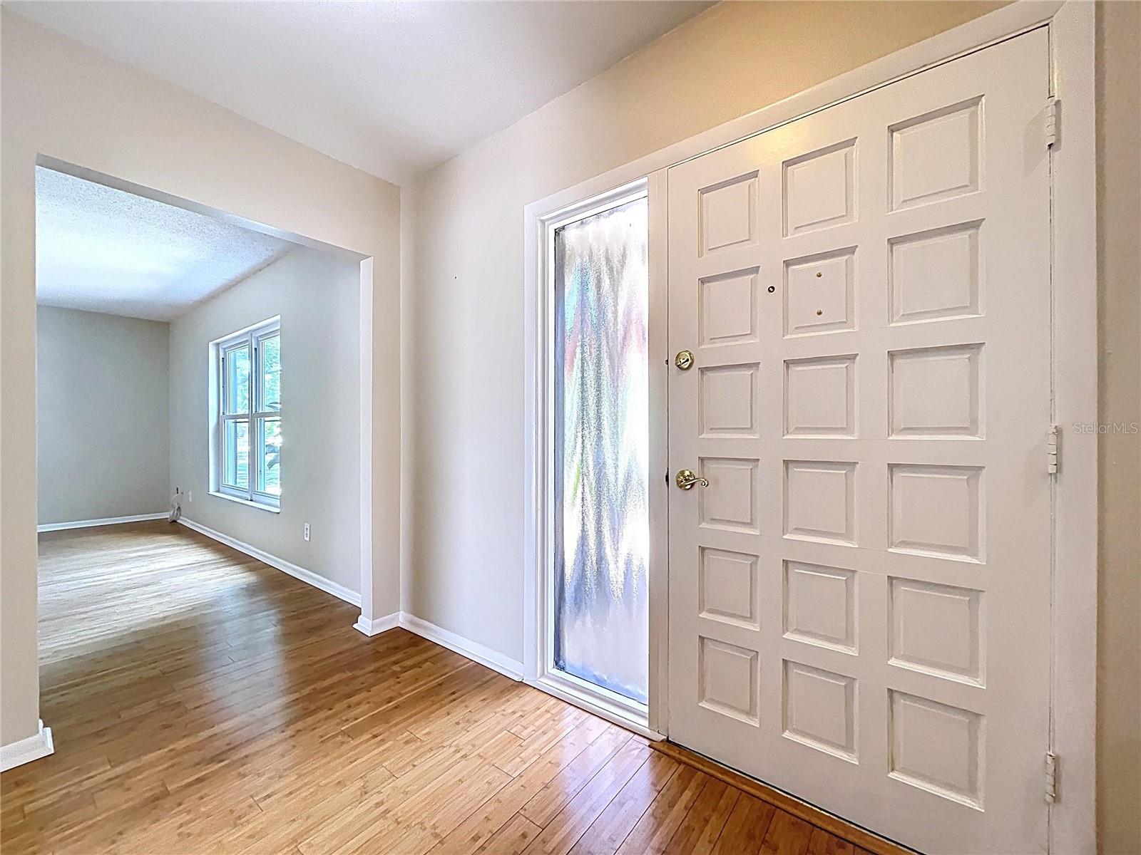 4030 BRAESGATE LN, TAMPA, FL, 33624