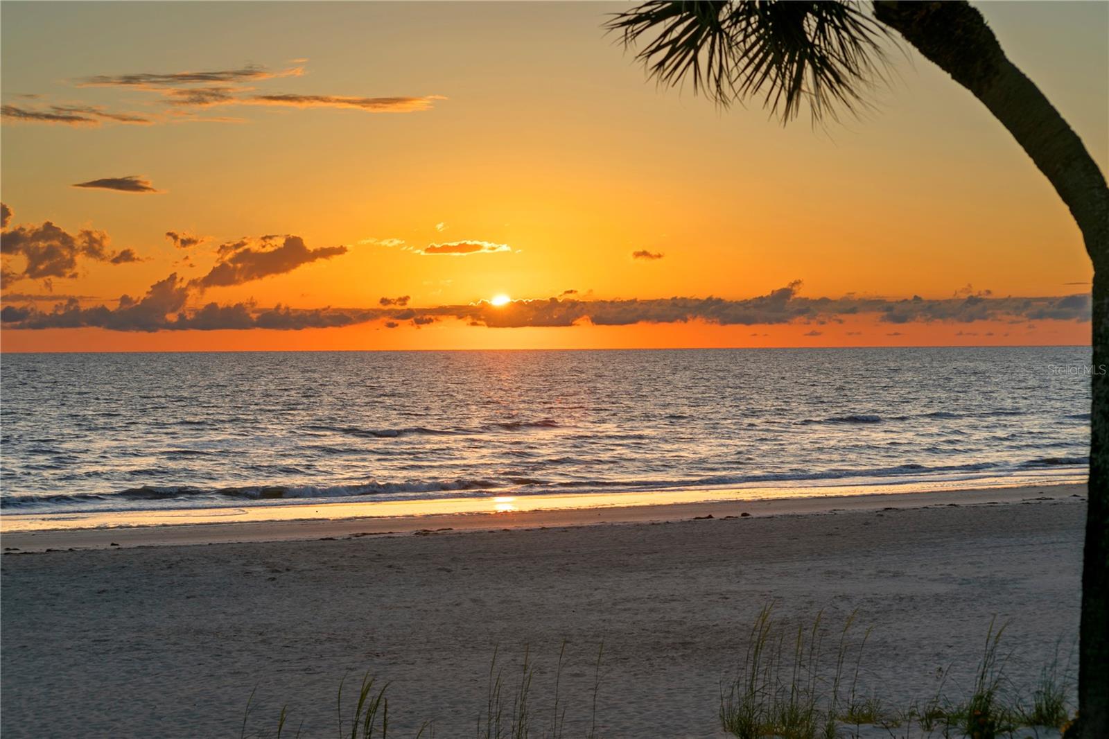 TB8400575 Property Photo