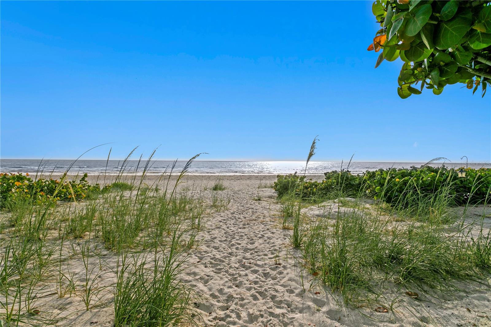 TB8400575 Property Photo