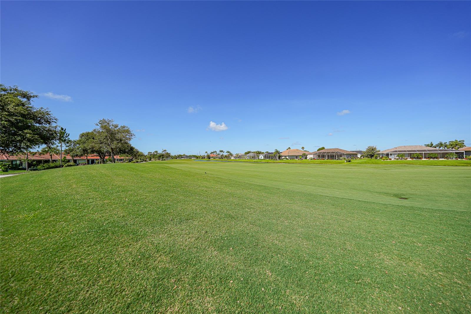 11435 SW COURTNEY DR, LAKE SUZY, FL, 34269