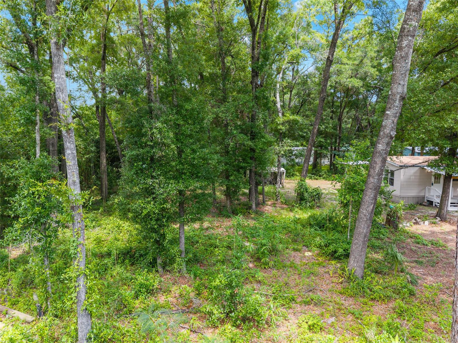 1131 NW 112TH AVE, OCALA, FL, 34482