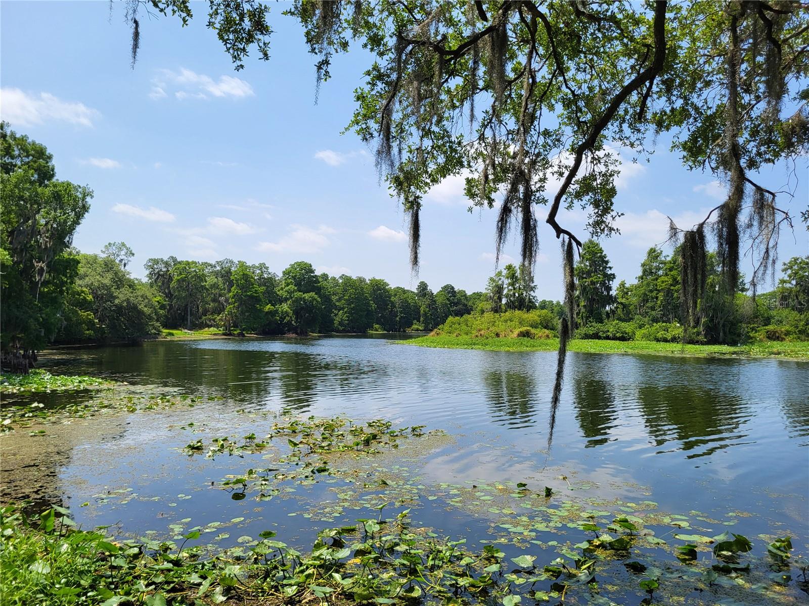 505 BROXBURN AVE, TEMPLE TERRACE, FL, 33617