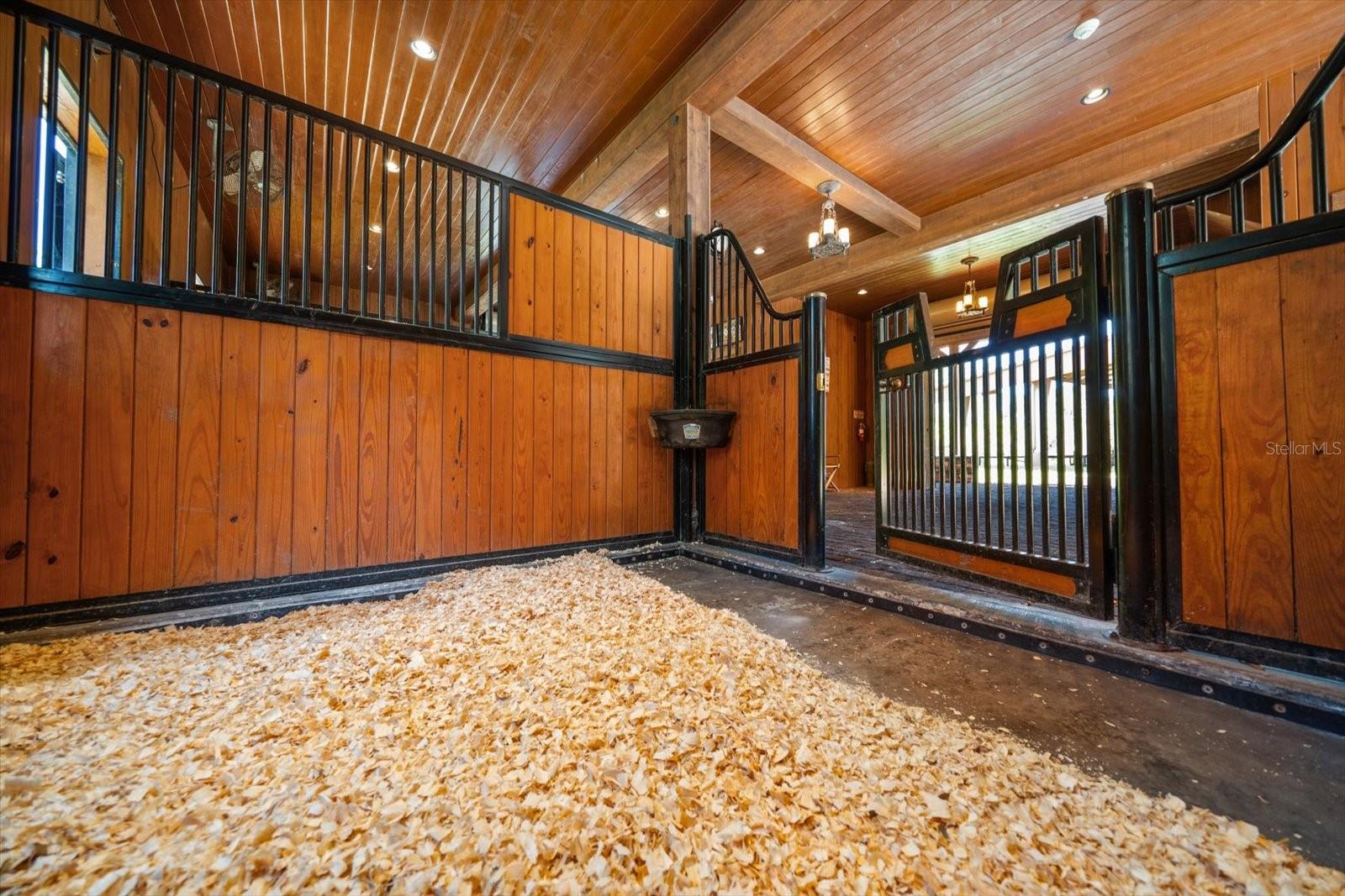 TB8401145 Property Photo