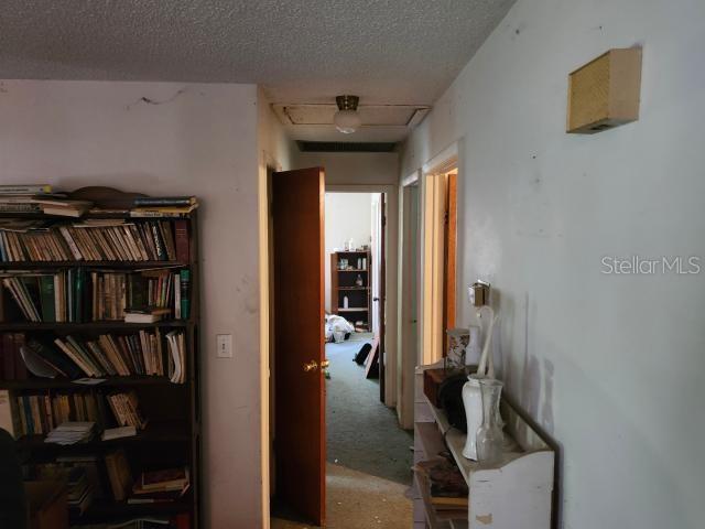 8109 FRANKLIN RD, PLANT CITY, FL, 33565