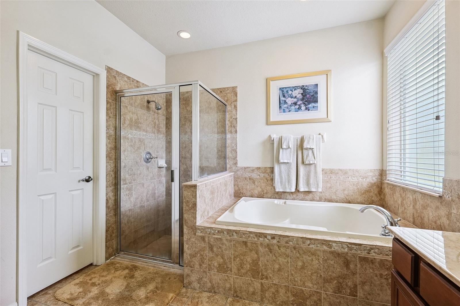 12331 SILTON PEACE DR, RIVERVIEW, FL, 33579