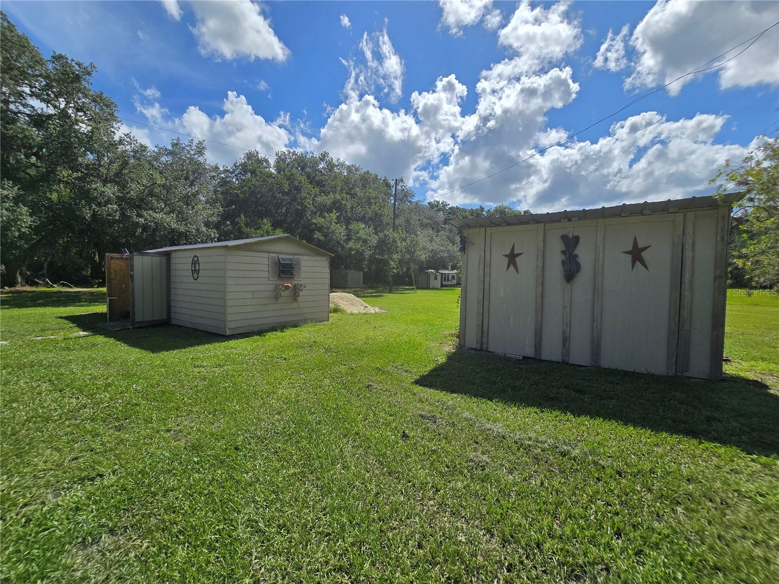 11955 SE 135TH AVE, OCKLAWAHA, FL, 32179