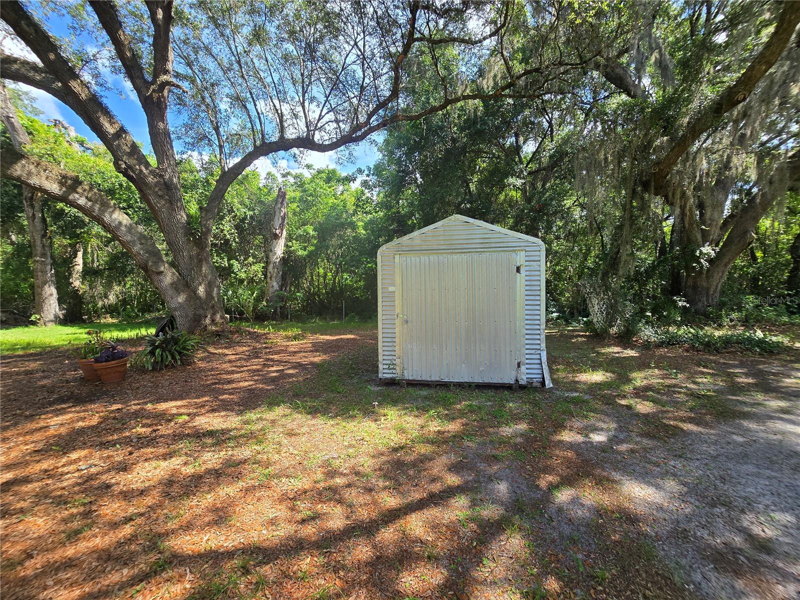 11955 SE 135TH AVE, OCKLAWAHA, FL, 32179