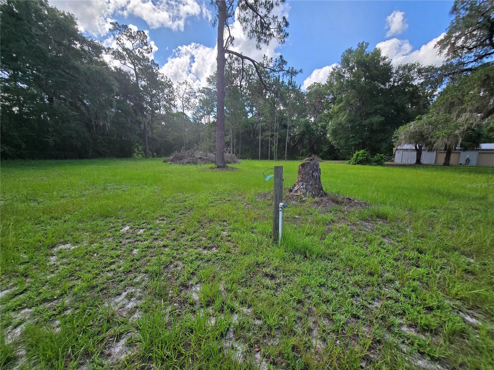 11955 SE 135TH AVE, OCKLAWAHA, FL, 32179