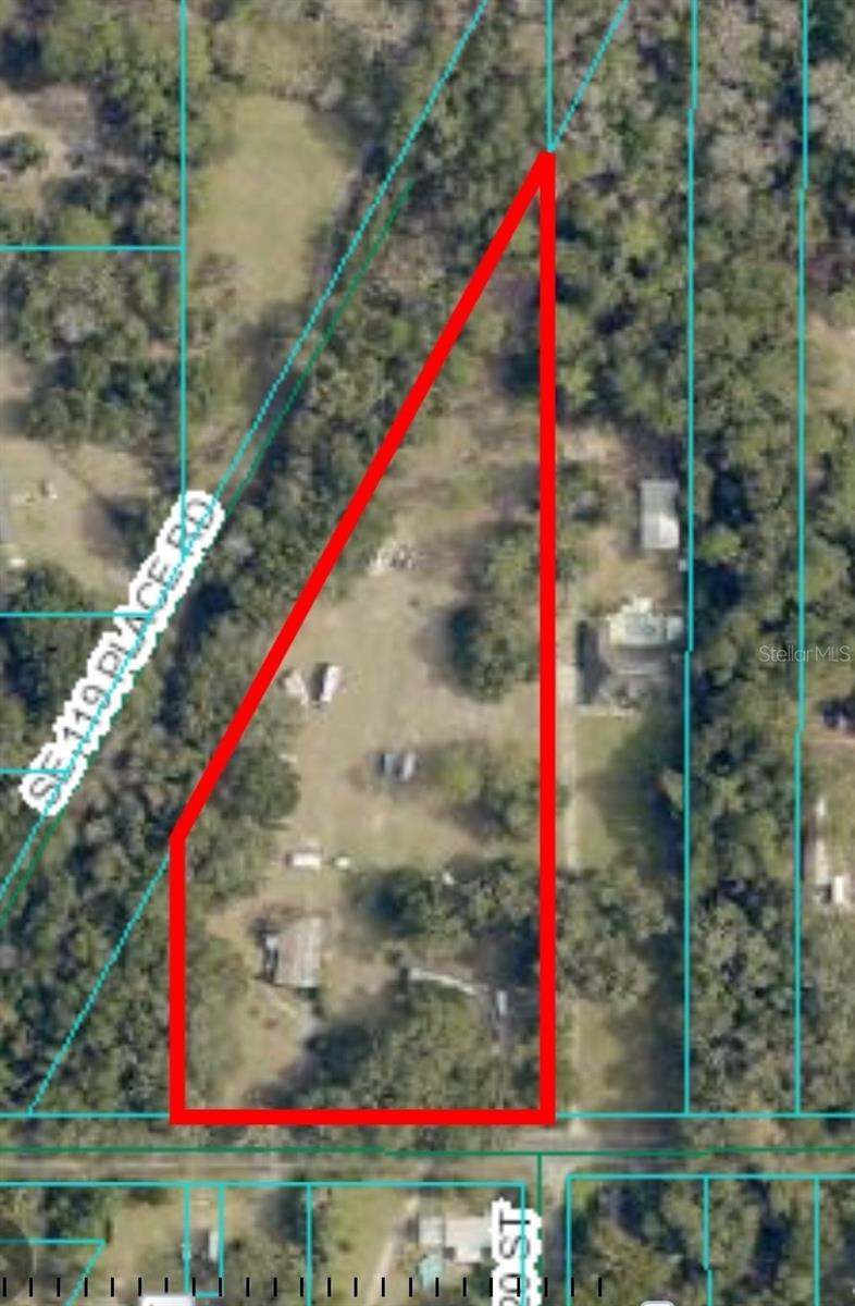 11955 SE 135TH AVE, OCKLAWAHA, FL, 32179