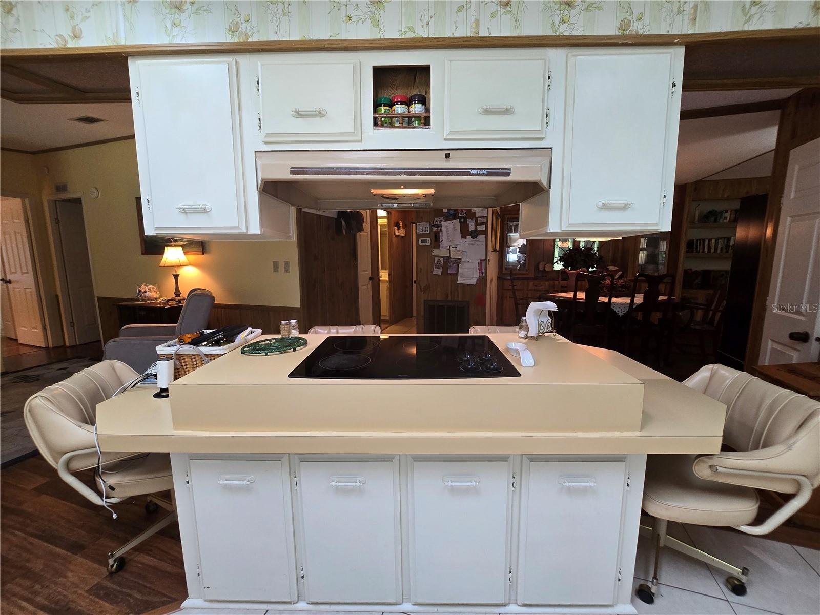 11955 SE 135TH AVE, OCKLAWAHA, FL, 32179