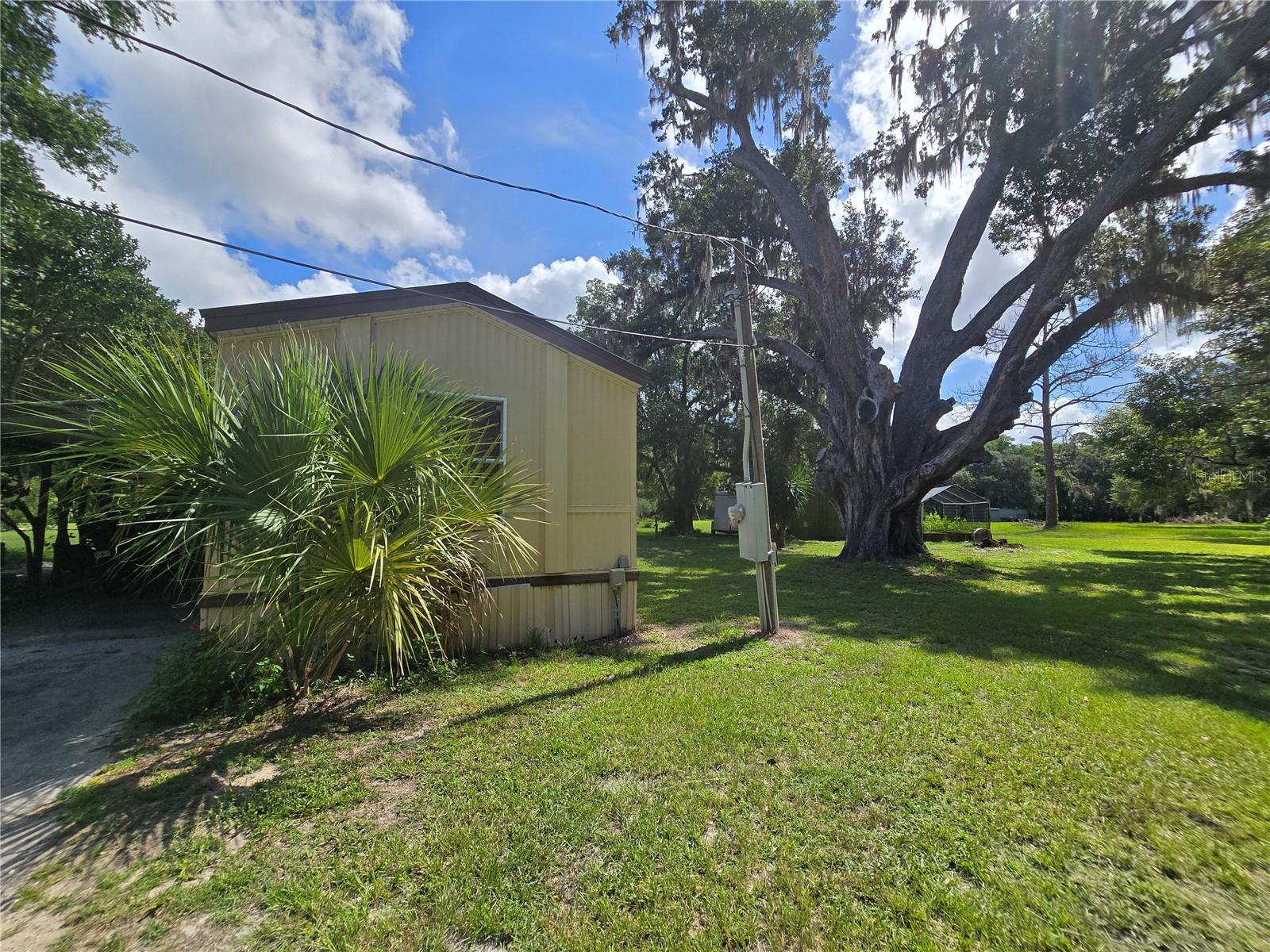 11955 SE 135TH AVE, OCKLAWAHA, FL, 32179