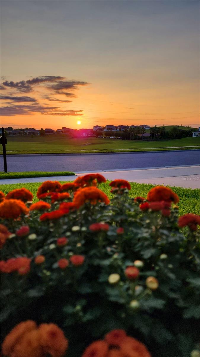 834 OXBOW RD, MINNEOLA, FL, 34715