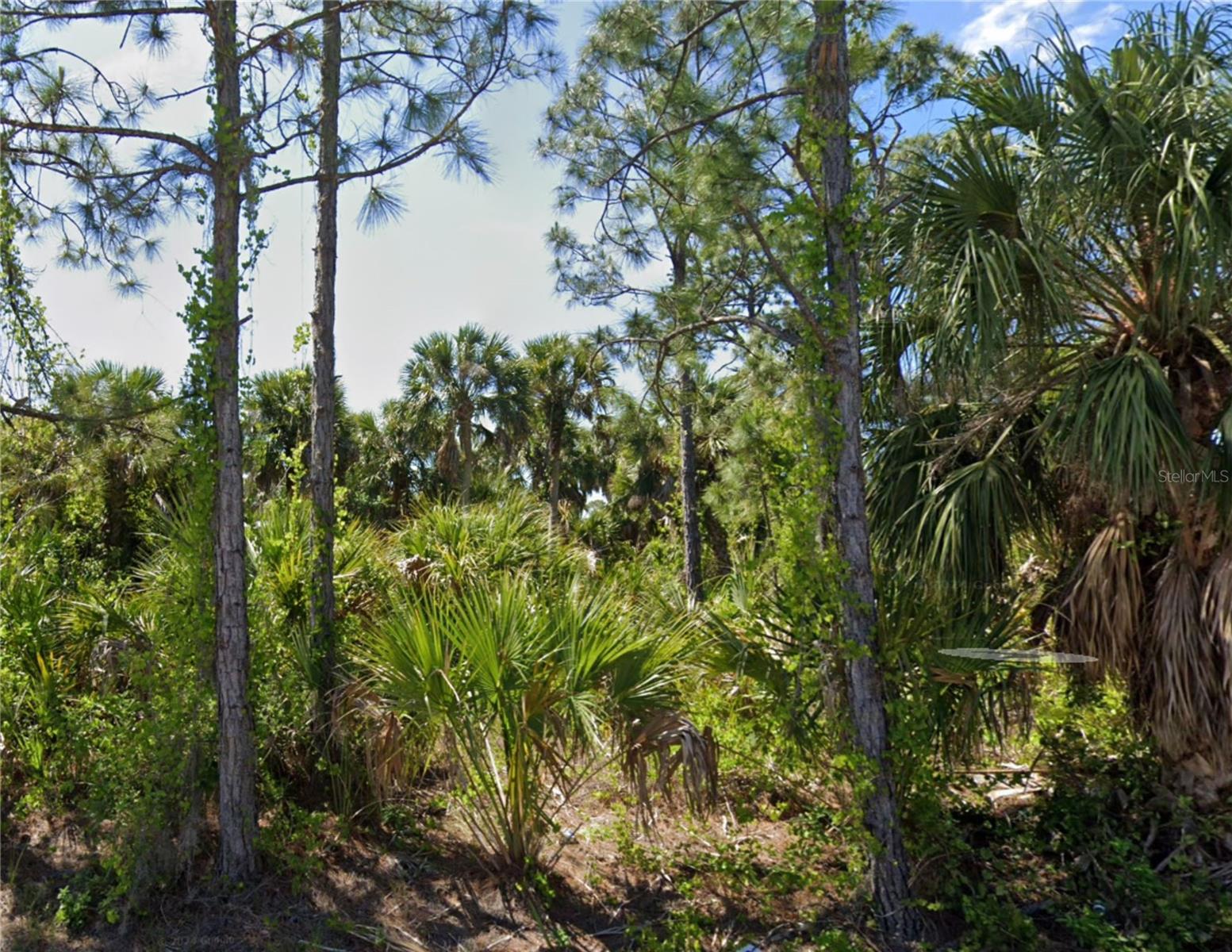 11965 COLEMAN AVE, PORT CHARLOTTE, FL, 33981