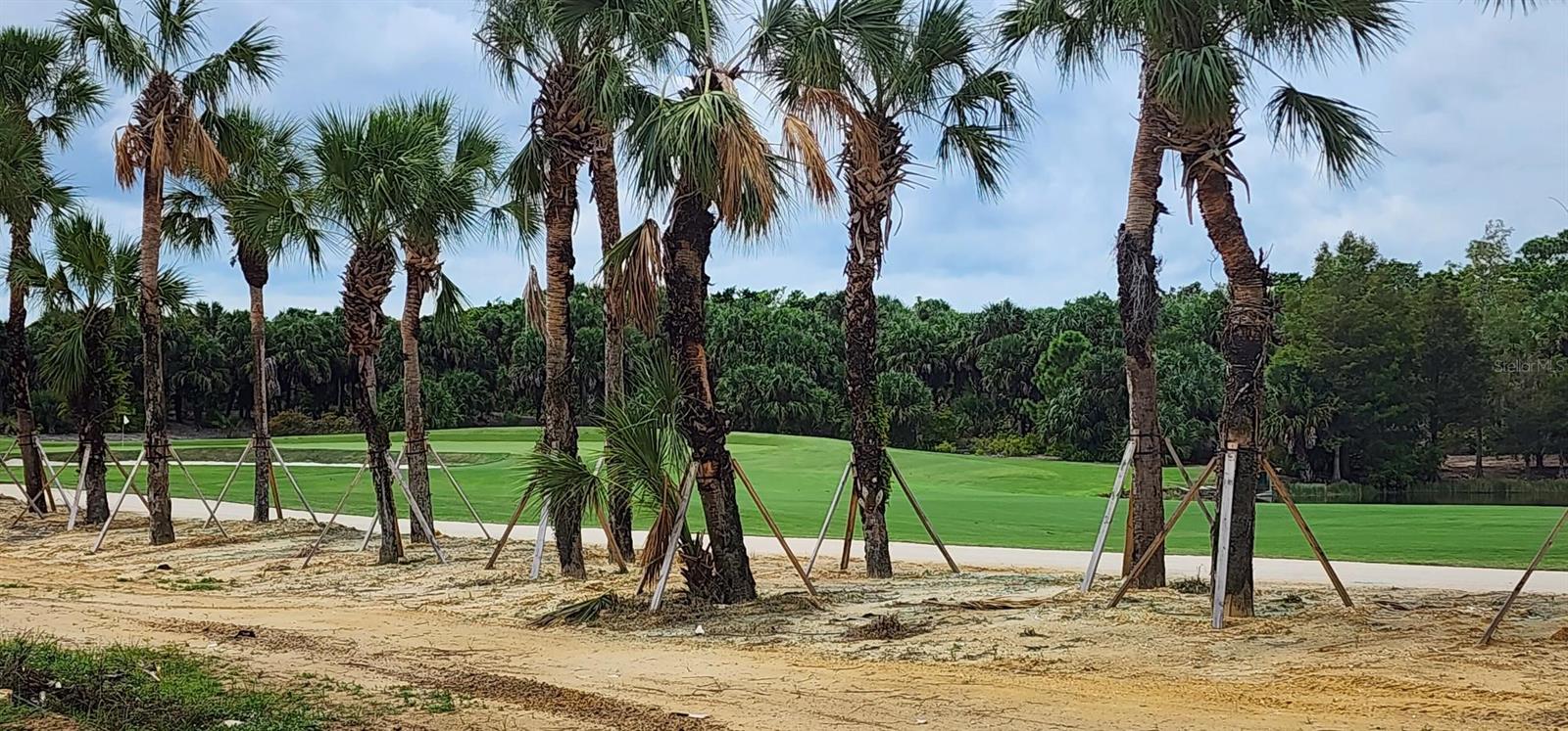 TB8401538 Property Photo