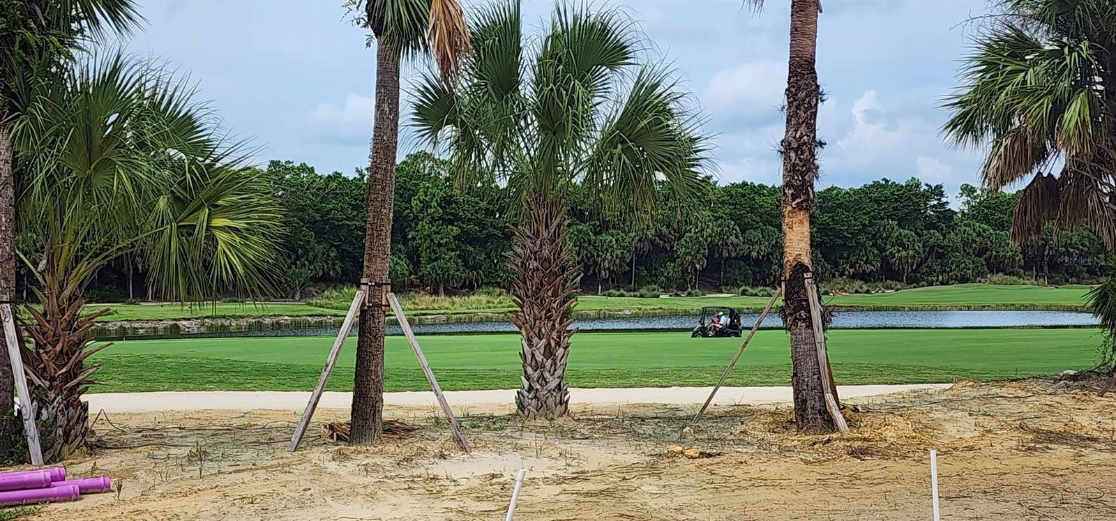 TB8401538 Property Photo