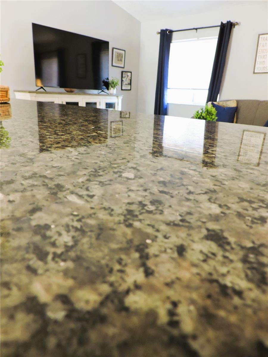 1361 STERLING OAKS DR, CASSELBERRY, FL, 32707