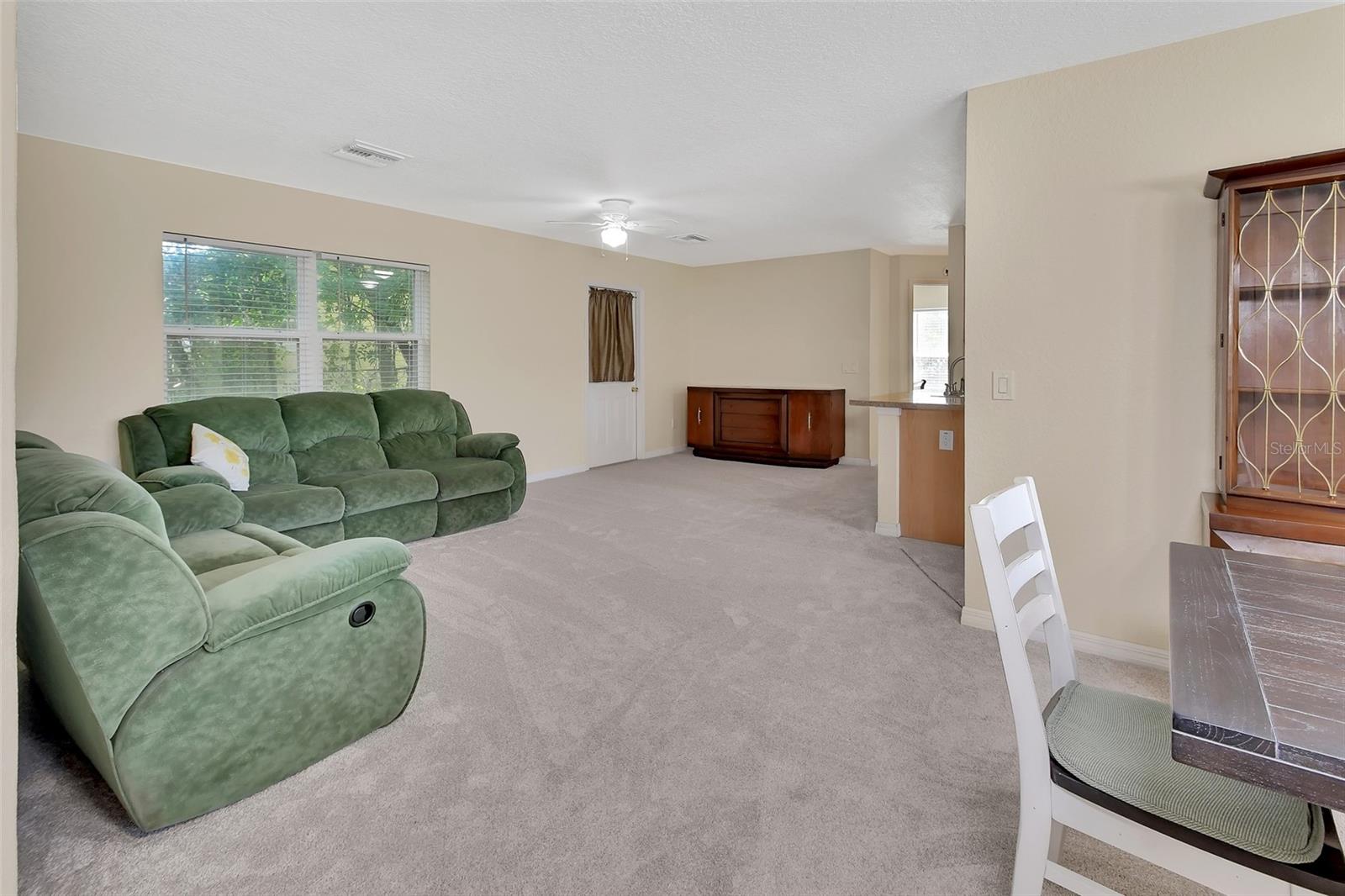 28045 POINSETTIA AVE, PAISLEY, FL, 32767