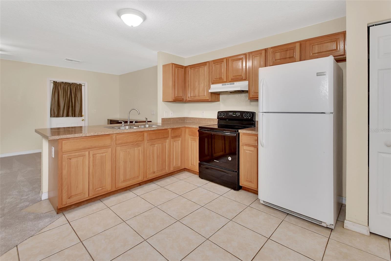 28045 POINSETTIA AVE, PAISLEY, FL, 32767