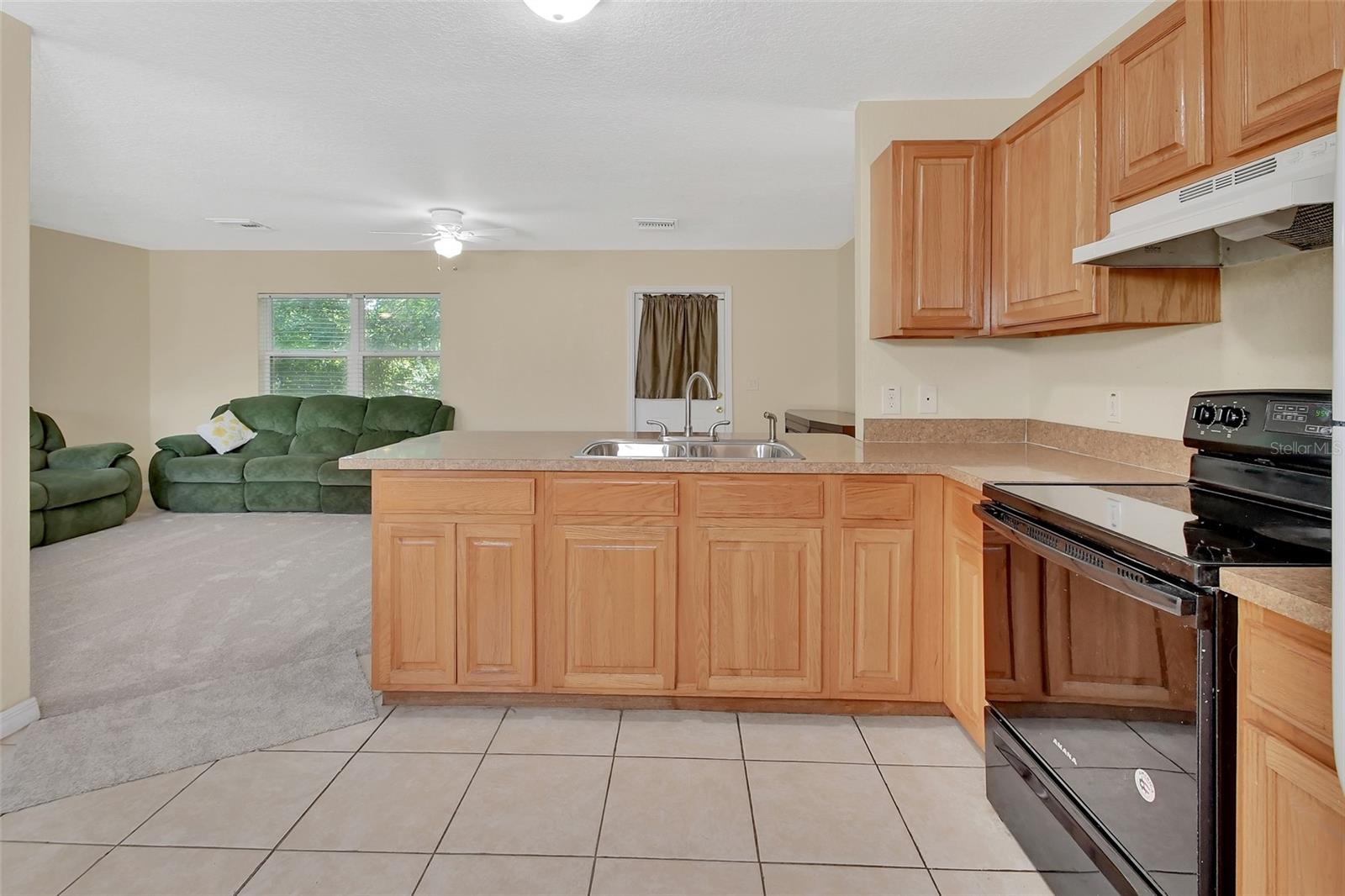 28045 POINSETTIA AVE, PAISLEY, FL, 32767