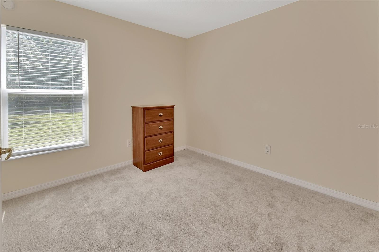 28045 POINSETTIA AVE, PAISLEY, FL, 32767