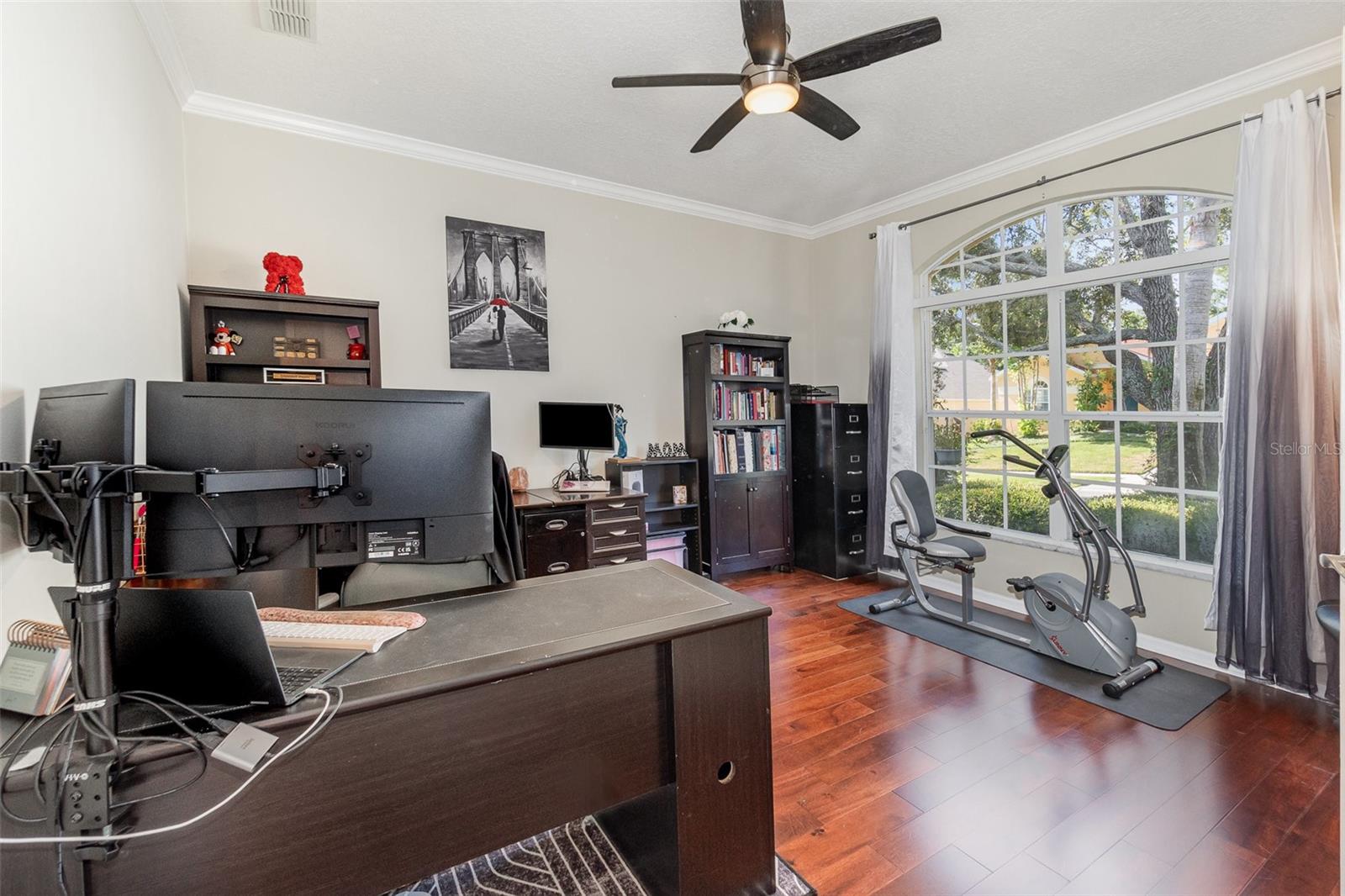 538 MAJESTIC OAK DR, APOPKA, FL, 32712