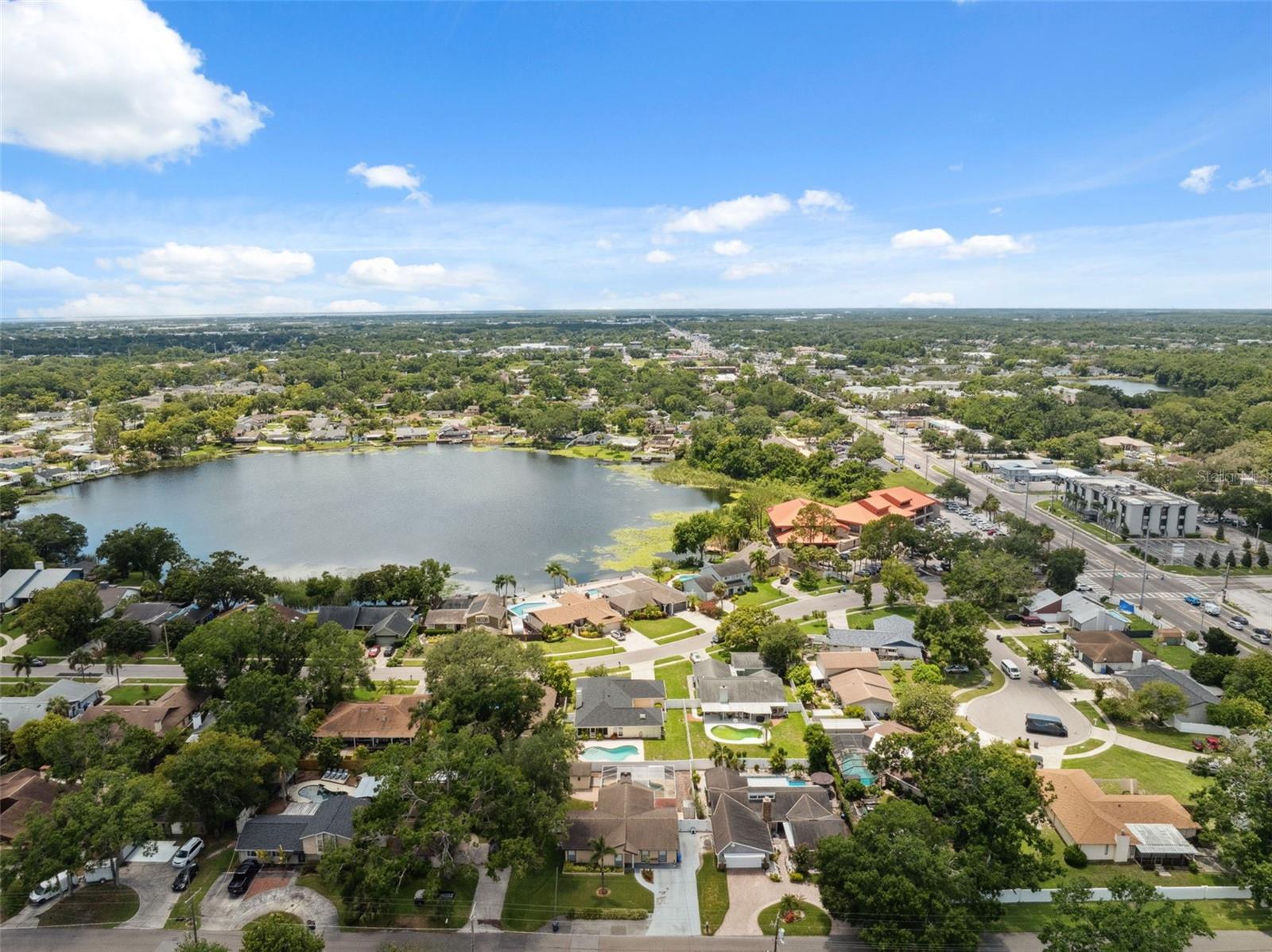 8306 N GOMEZ AVE, TAMPA, FL, 33614