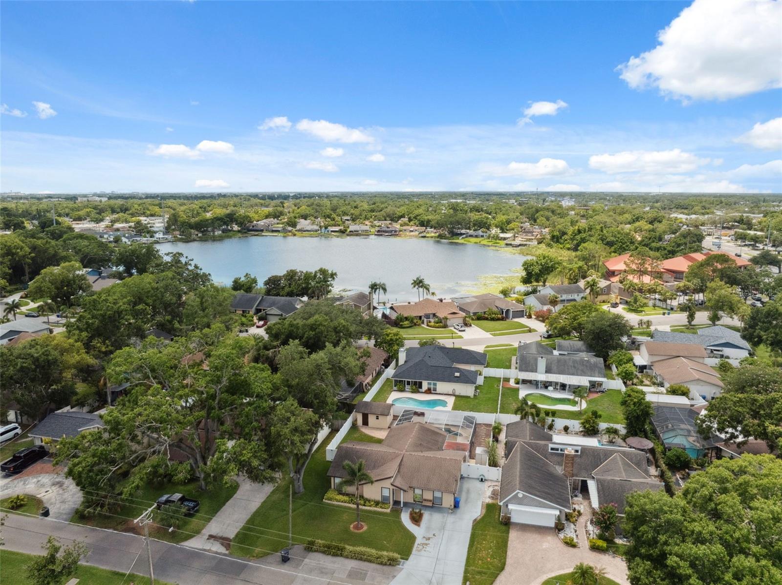 8306 N GOMEZ AVE, TAMPA, FL, 33614