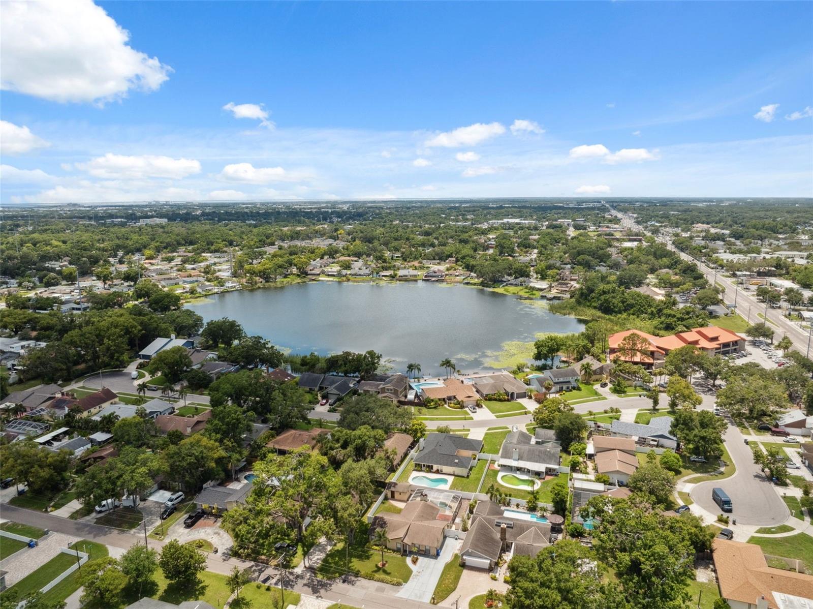 8306 N GOMEZ AVE, TAMPA, FL, 33614