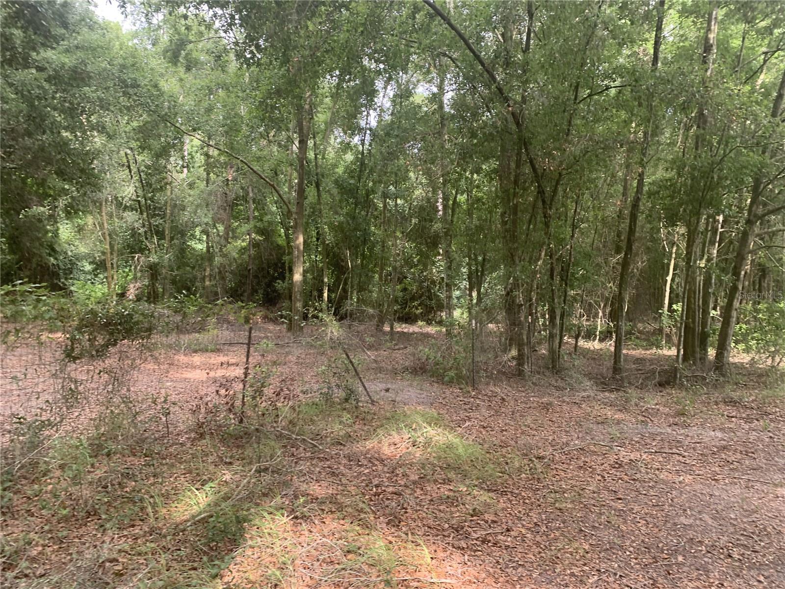 SW 20TH ST, BELL, FL, 32619