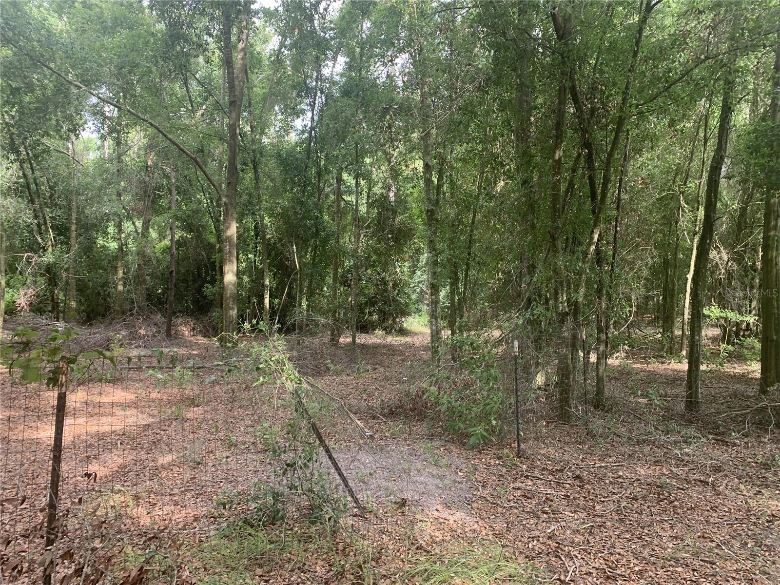 SW 20TH ST, BELL, FL, 32619