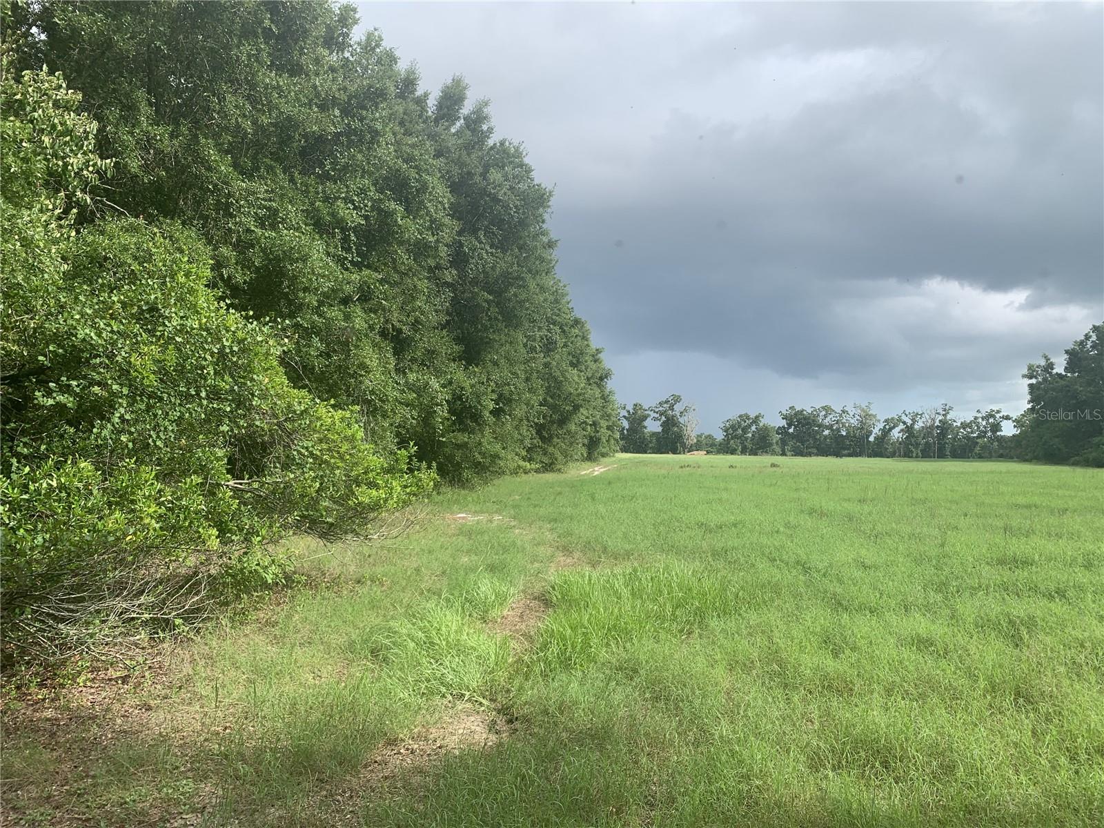 SW 20TH ST, BELL, FL, 32619