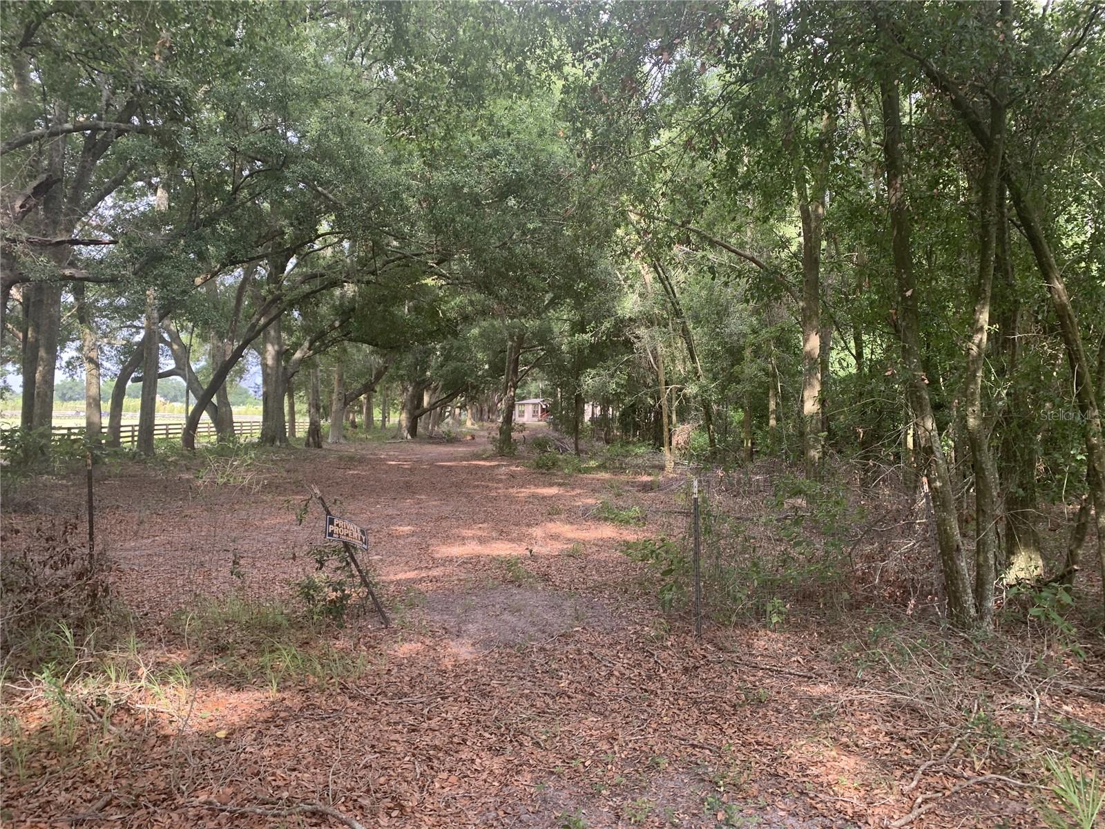 SW 20TH ST, BELL, FL, 32619