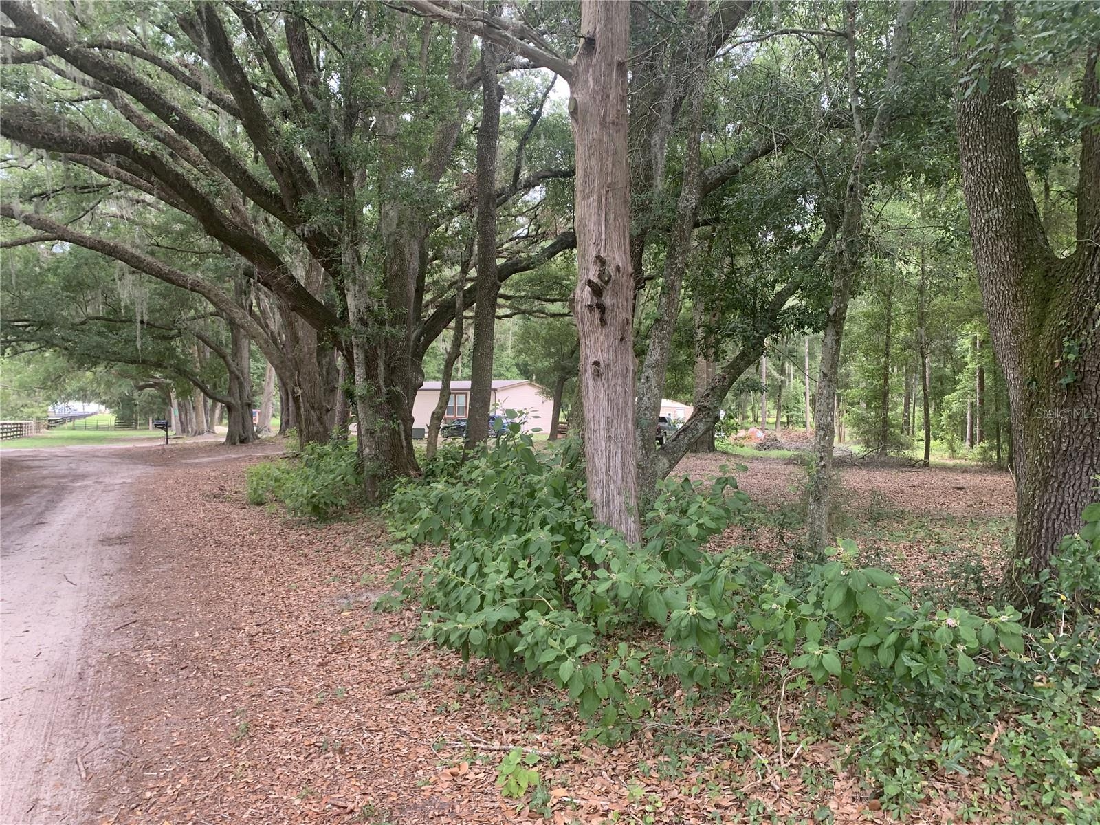 SW 20TH ST, BELL, FL, 32619